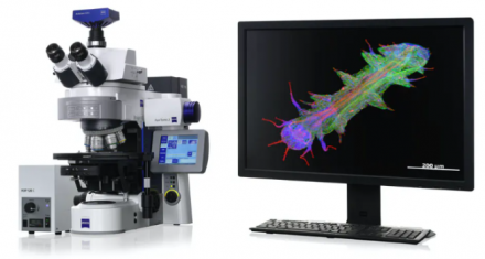 AxioImager.Z2 Scanning Widefield Fluorescence Microscope
